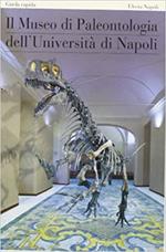 Il museo di paleontologia dell'Università di Napoli