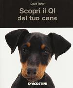 Scopri il QI del tuo cane