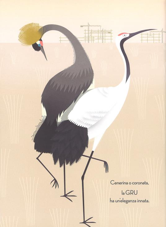 Uccelli. Ediz. a colori - Jean Roussen,Emmanuelle Walker - 2