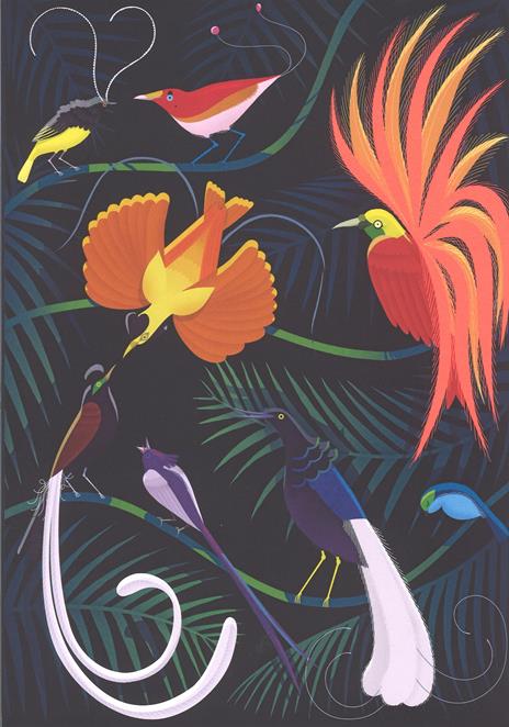 Uccelli. Ediz. a colori - Jean Roussen,Emmanuelle Walker - 4