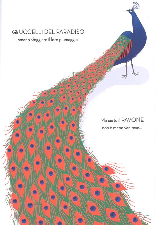 Uccelli. Ediz. a colori - Jean Roussen,Emmanuelle Walker - 5