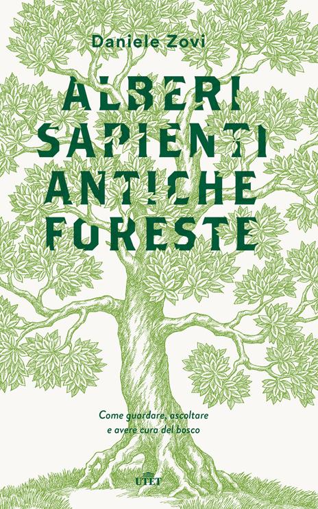 Alberi sapienti antiche foreste. Come guardare, ascoltare e avere cura del bosco. Con ebook - Daniele Zovi - copertina