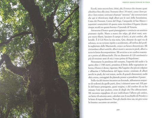 Alberi sapienti antiche foreste. Come guardare, ascoltare e avere cura del bosco. Con ebook - Daniele Zovi - 4
