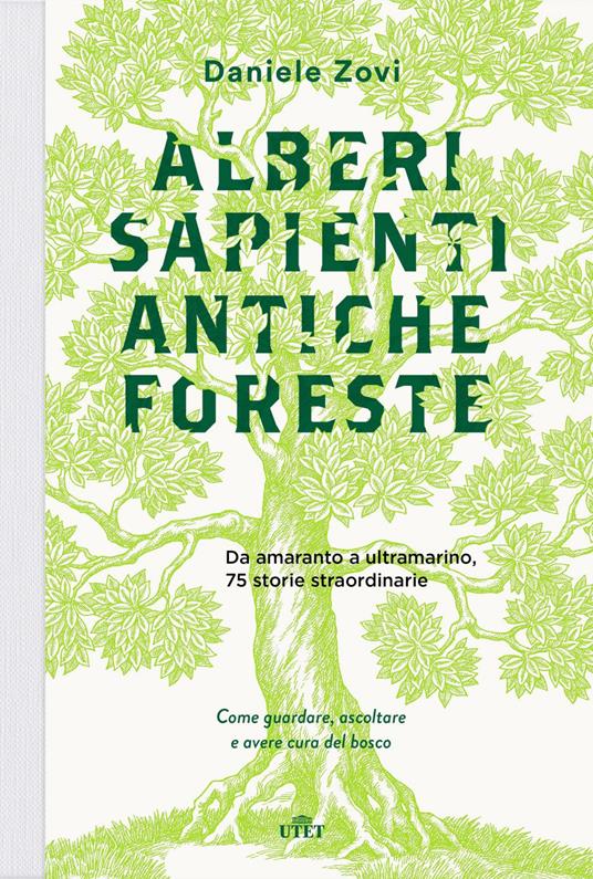 Alberi sapienti antiche foreste. Come guardare, ascoltare e avere cura del bosco - Daniele Zovi - ebook