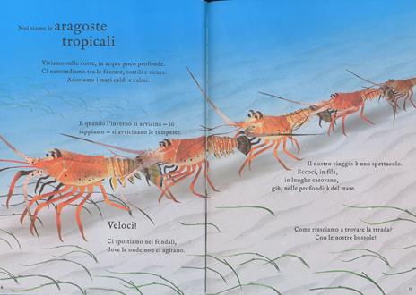 Viaggi straordinari. Storie di animali che migrano. Ediz. a colori - Laura Knowles - 4