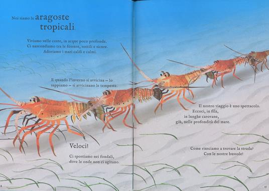 Viaggi straordinari. Storie di animali che migrano. Ediz. a colori - Laura Knowles - 4