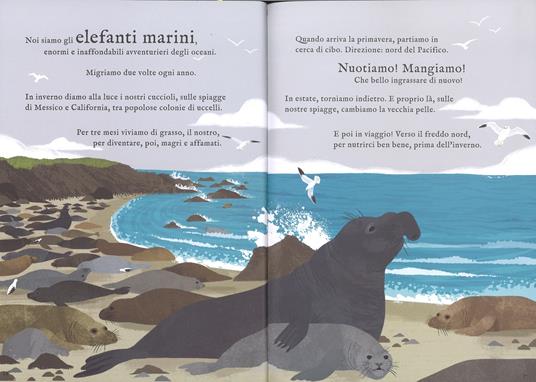 Viaggi straordinari. Storie di animali che migrano. Ediz. a colori - Laura Knowles - 5