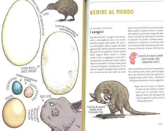 La vita amorosa degli animali. Ediz. a colori - Katharina Von Der Gathen - 5