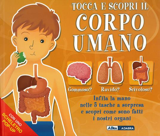 Tocca e scopri il corpo umano. Ediz. a colori - Mattia Cerato - copertina