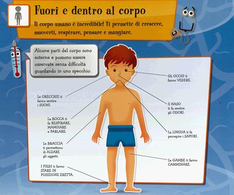 Tocca e scopri il corpo umano. Ediz. a colori - Mattia Cerato - 2