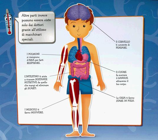 Tocca e scopri il corpo umano. Ediz. a colori - Mattia Cerato - 3