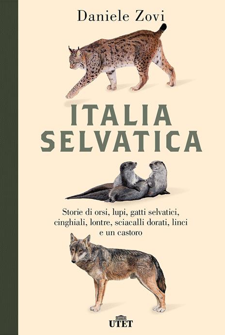 Italia selvatica. Storie di orsi, lupi, gatti selvatici, cinghiali, lontre, sciacalli dorati, linci e un castoro - Daniele Zovi - copertina