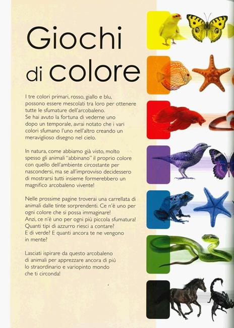 Tutti i colori degli animali. Ediz. a colori - Anita Ganeri - 3