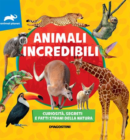 Animali incredibili. Curiosità, segreti e fatti strani della natura - copertina