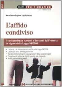 Librisaggi