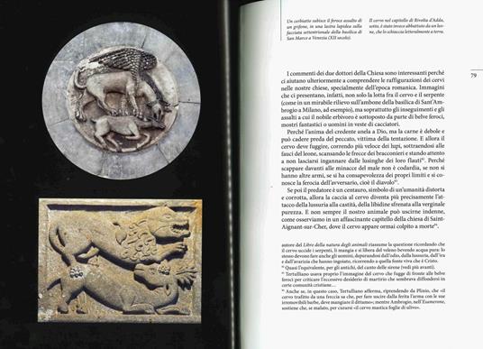 Bestiario medievale. Animali simbolici nell'arte cristiana. Ediz. illustrata - Luca Frigerio - 4