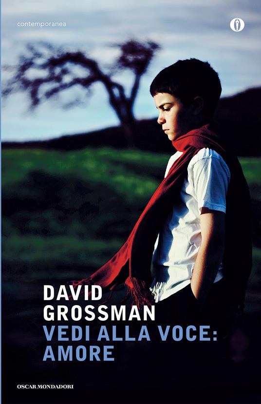 Vedi alla voce: amore - David Grossman,Gaio Sciloni - ebook