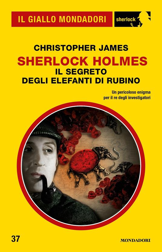Sherlock Holmes. Il segreto degli elefanti di rubino - Christopher James,Angelo Petrella - ebook
