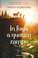 Nome prodotto