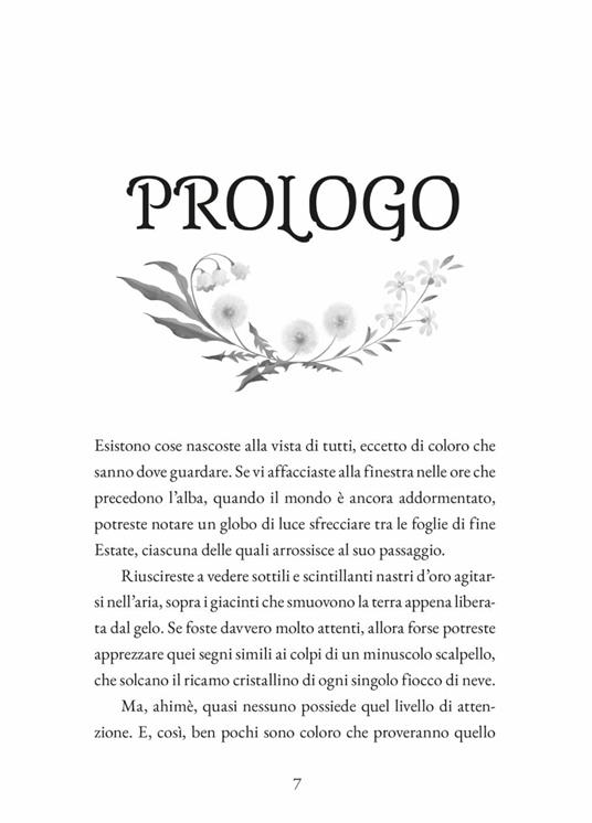 Wings of Starlight. Il guardiano dell'inverno - Allison Saft - 4