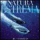 Natura estrema. Ediz. illustrata - Bill Curtsinger - copertina