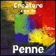 Creature con le penne. Ediz. illustrata