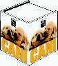 Libro Cani. Ediz. illustrata 