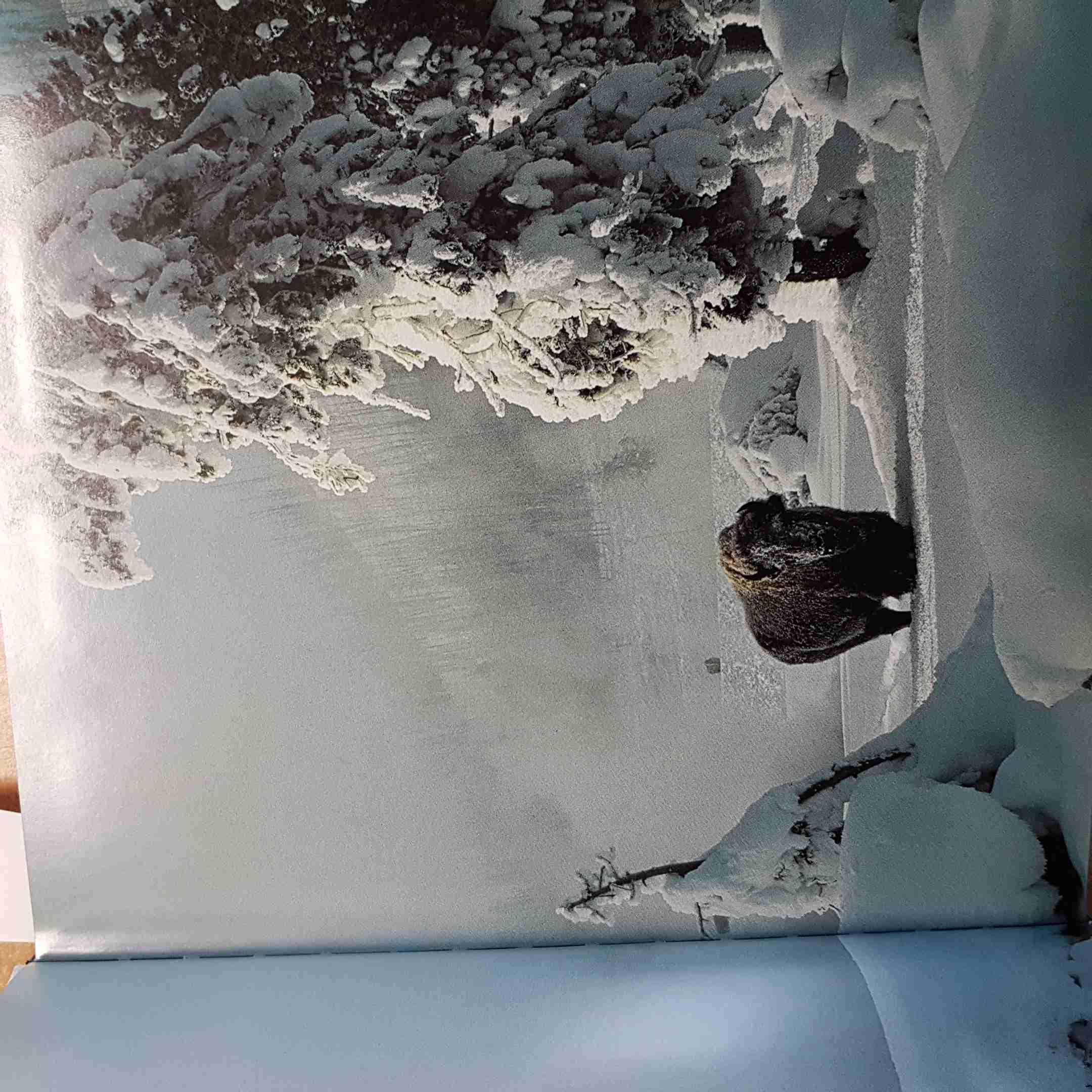 I grandi fotografi di natura. Ediz. illustrata