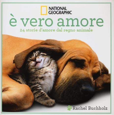 È vero amore! 24 storie d'amore dal regno animale. Ediz. illustrata - Rachel Buchholz - 2