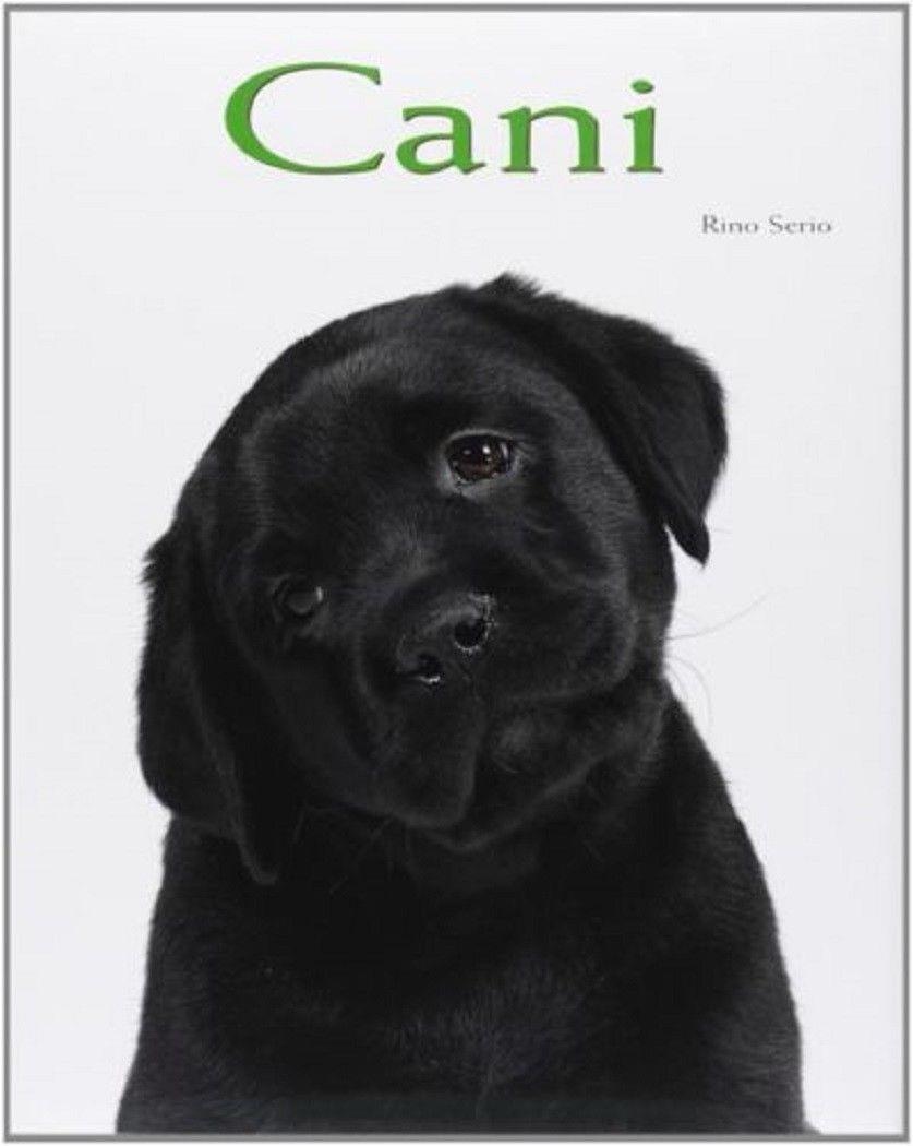 Libreria Biblos di Costa Pierandrea