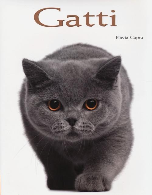 Gatti. Ediz. illustrata - Flavia Capra - copertina