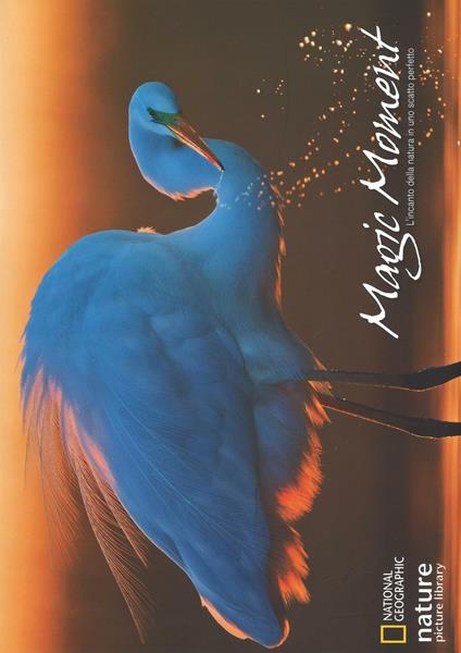 Magic moment. L'incanto della natura in uno scatto perfetto. Ediz. a colori - Anna Levin - copertina