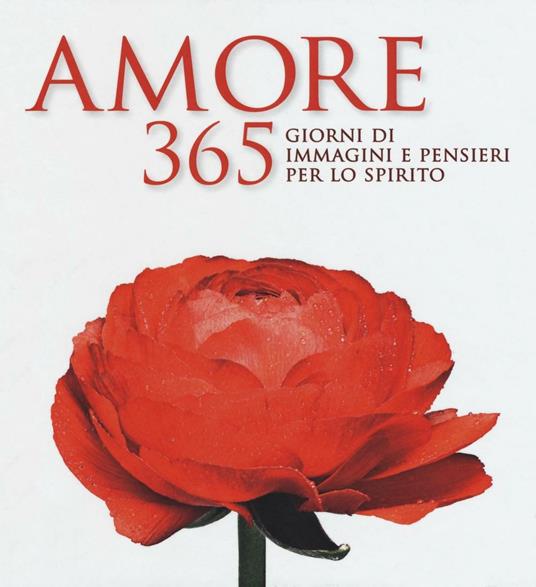 Amore. 365 giorni di immagini e pensieri per lo spirito. Ediz. illustrata - copertina