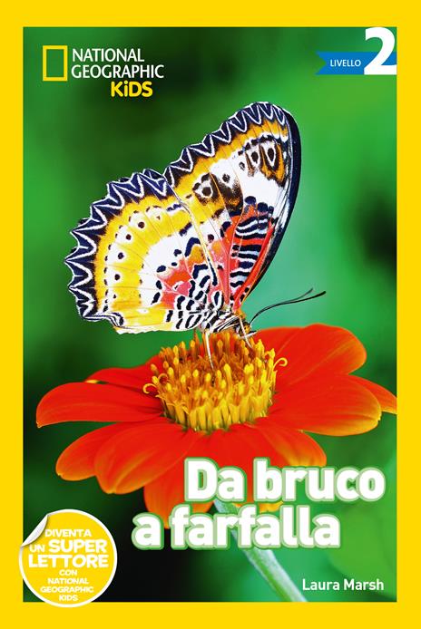 Da bruco a farfalla. Livello 2. Ediz. a colori - Laura Marsh - copertina