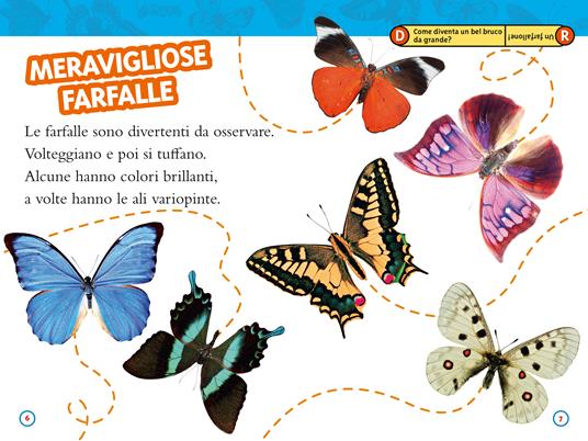 Da bruco a farfalla. Livello 2. Ediz. a colori - Laura Marsh - 4