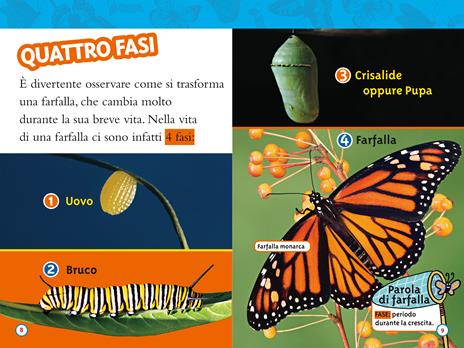 Da bruco a farfalla. Livello 2. Ediz. a colori - Laura Marsh - 5