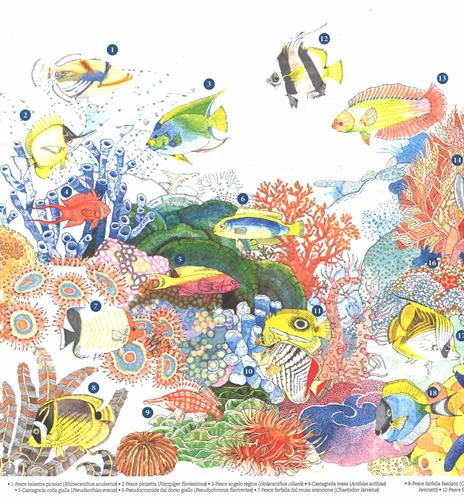 Chi vive nell'oceano? La vita segreta degli abissi. Ediz. a colori - Margherita Borin - 2