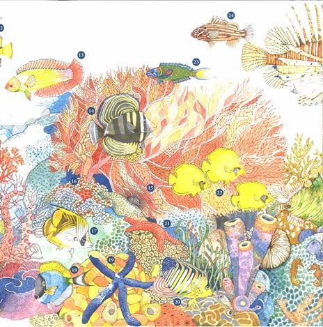 Chi vive nell'oceano? La vita segreta degli abissi. Ediz. a colori - Margherita Borin - 3