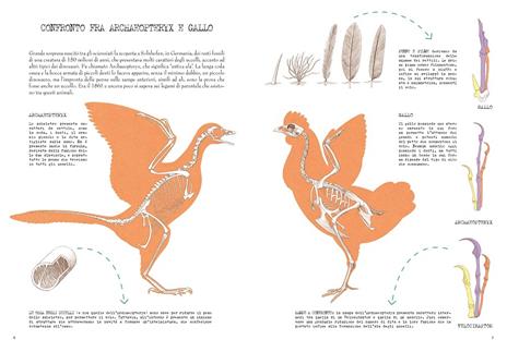 Questo pollo è un T-rex! Il grande libro dell'evoluzione animale - Cristina M. Banfi,Cristina Peraboni,Rita Mabel Schiavo - 5