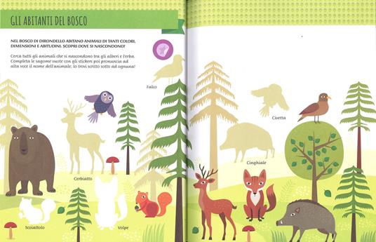 Il mio primo libro degli animali del bosco. 3-4 anni. Montessori: un mondo di conquiste. Con adesivi. Ediz. a colori - Chiara Piroddi - 2