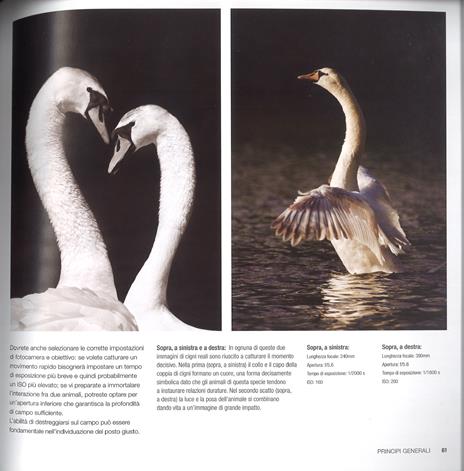 Natura selvaggia. Corso completo di tecnica fotografica - Richard Garvey-Williams - 4