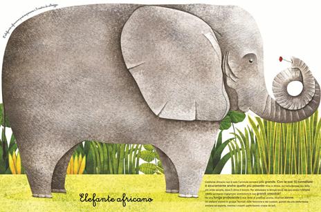 Il grande libro degli animali più grandi & il piccolo libro degli animali più piccoli - Cristina Banfi,Cristina Peraboni - 3