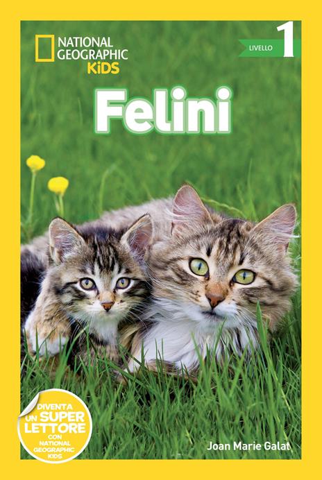 Felini. Livello 1. Ediz. a colori - Joan Marie Galat - copertina