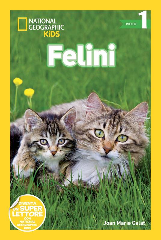 Felini. Livello 1. Ediz. a colori - Joan Marie Galat - copertina