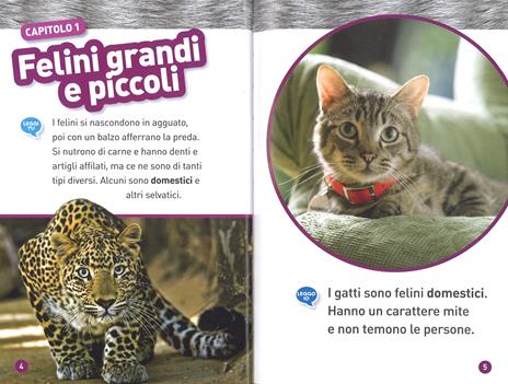 Felini. Livello 1. Ediz. a colori - Joan Marie Galat - 2