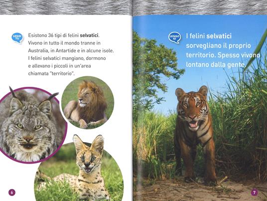 Felini. Livello 1. Ediz. a colori - Joan Marie Galat - 3