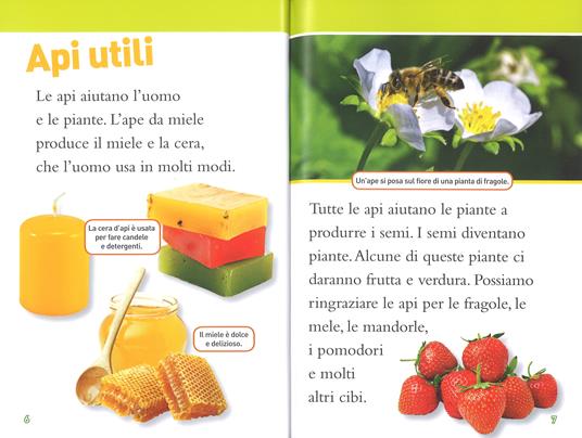 Api. Livello 3. Ediz. a colori - Laura Marsh - 3