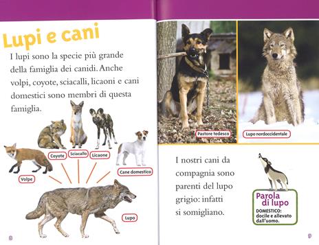 Lupi. Livello 3. Ediz. a colori - Laura Marsh - 4
