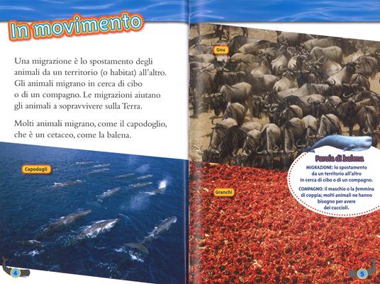 Balene. Livello 4. Ediz. a colori - Laura Marsh - 2