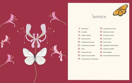 Il mondo delle farfalle. Ediz. a colori - Rita Mabel Schiavo - 3